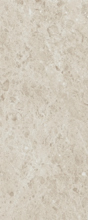 Laminam Rare Pietra di Gre DNA 5 120x300