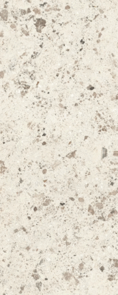Laminam Rare Pietra di Gre Fine DNA 5 120x300