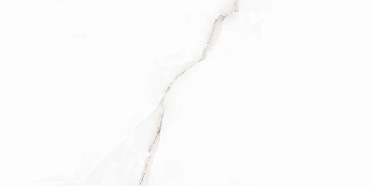 Grey Polished 60x120 (1200x600)