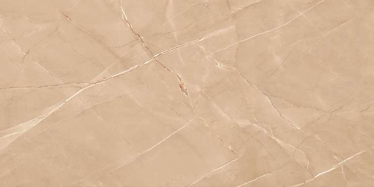 Lamore Ceramic Brexit Brown Polished 60x120