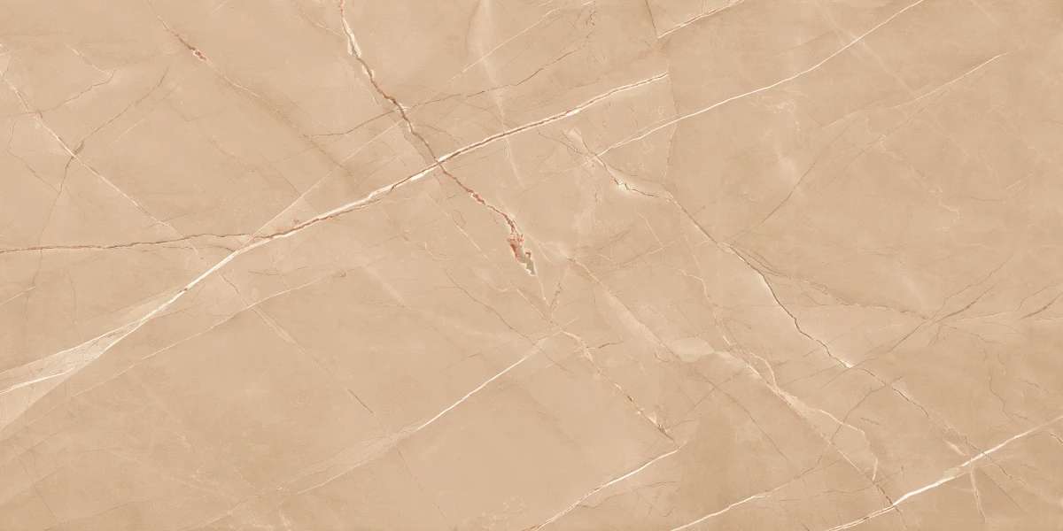 Brown Polished 60x120 (1200x600)