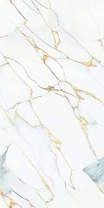 Lamore Ceramic Costa Gold Carving 60x120