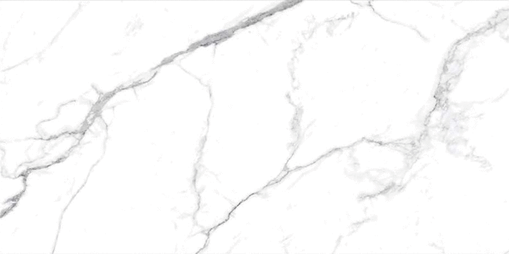 Lamore Ceramic Elis Statuario Carving 60x120
