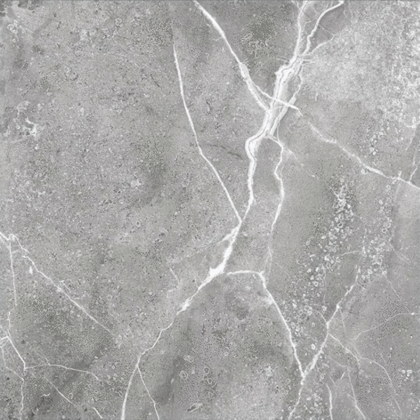 Grey Polished 60x60 (600x600)