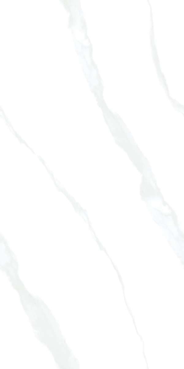 Blanco Polished 60x120 (600x1200)