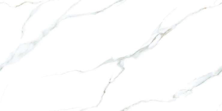 Lamore Ceramic Nicol Statuario Polished 60x120