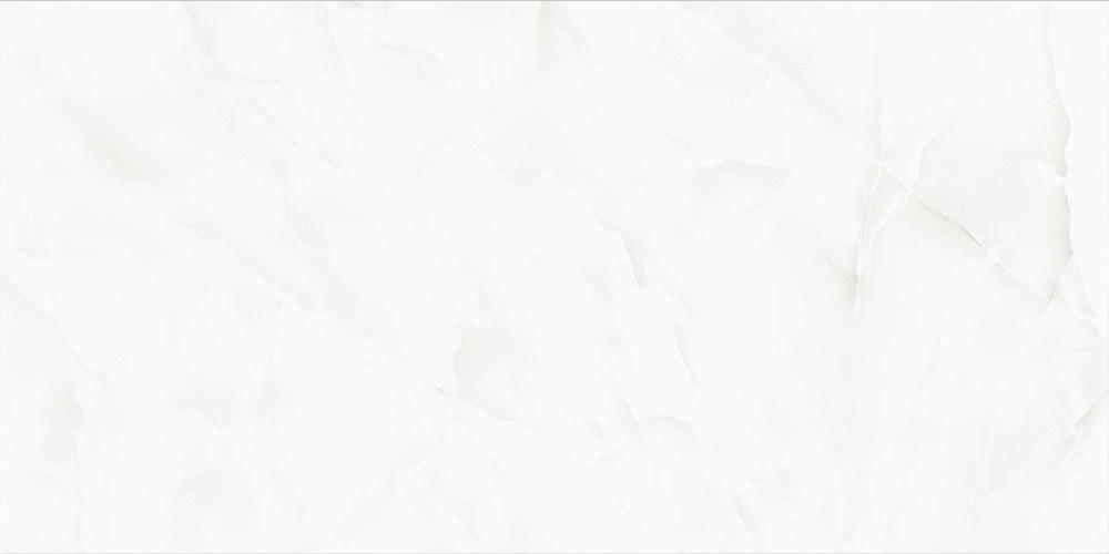 Gris Polished 60x120 (1200x600)