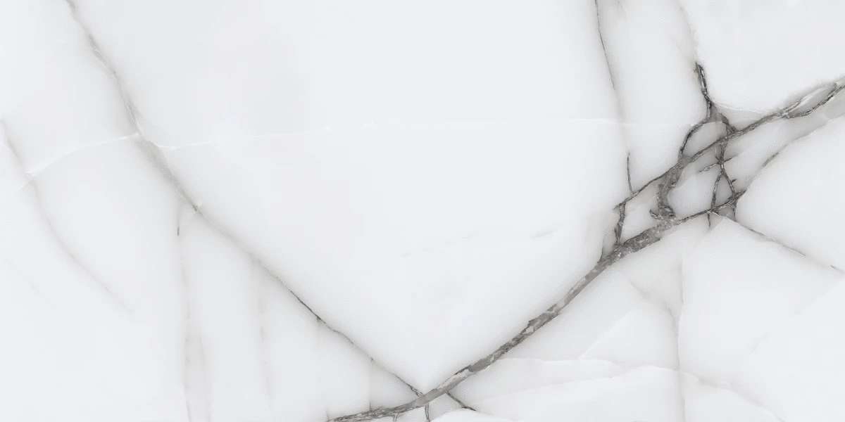 Gris Polished 60x120 (1200x600)