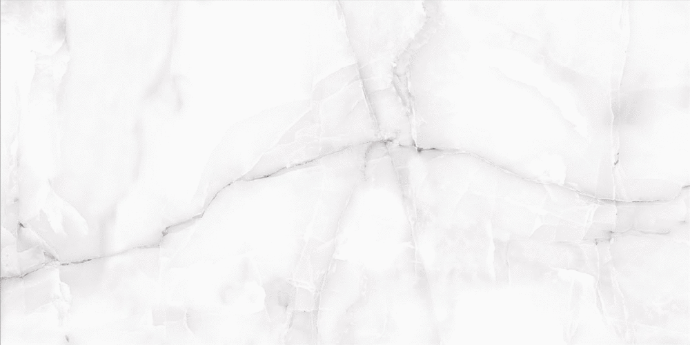 Grey Polished 60x120 (1200x600)