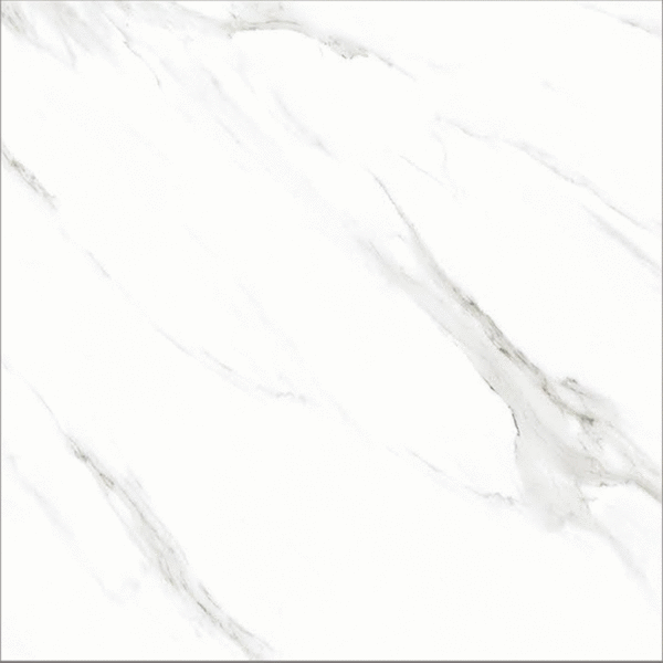 Grey Polished 60x60 (600x600)