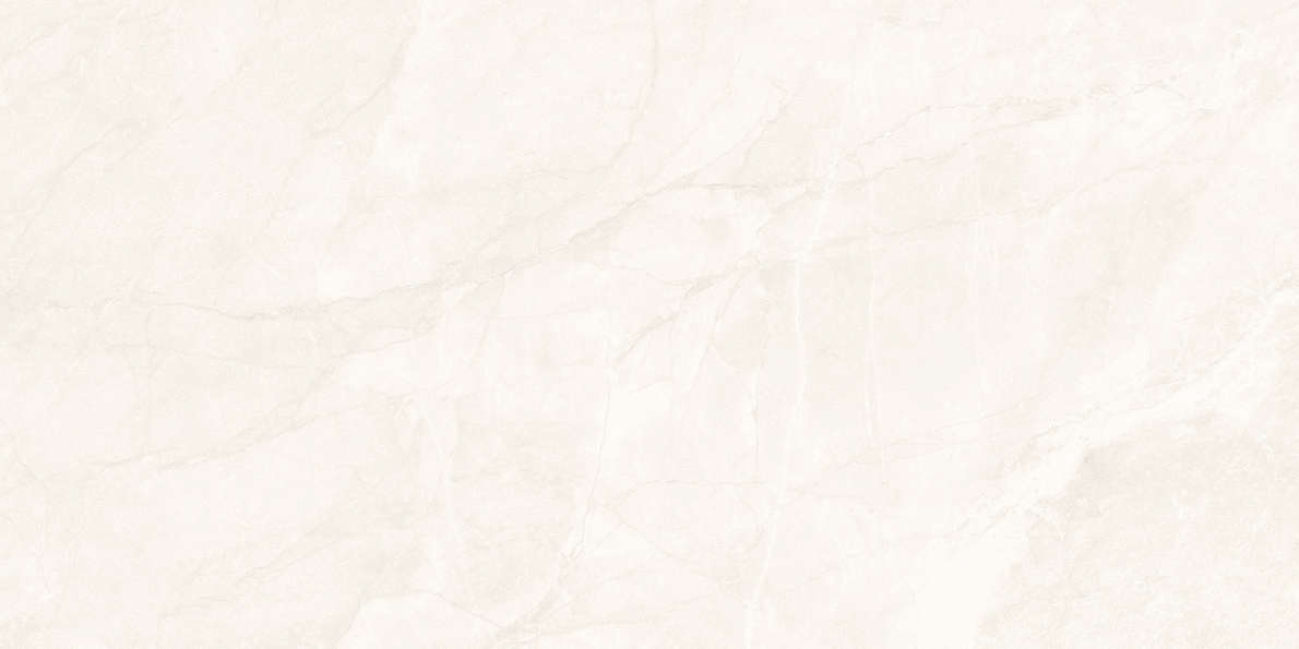  59.5119.1  (1191x595)