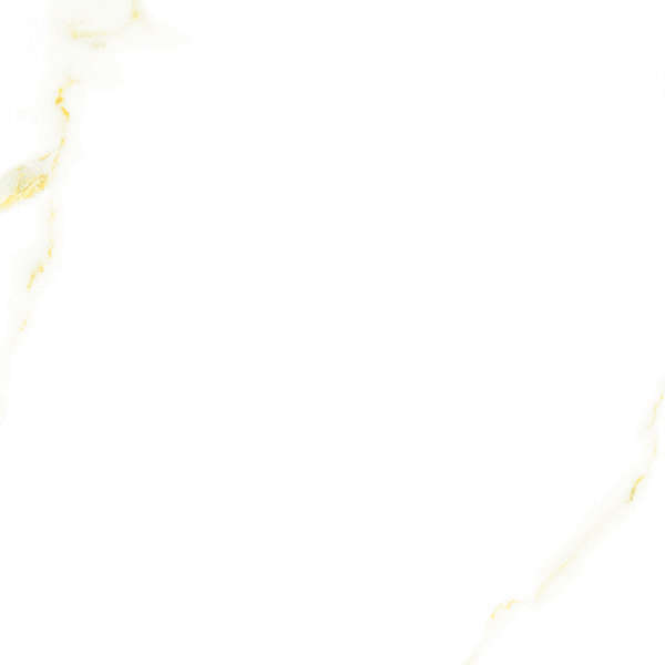 Golden White Statuario 6060  (600x600)