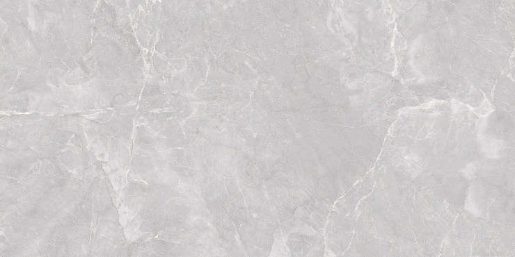 Laparet Marble Grey PRO  60120  R10Soft