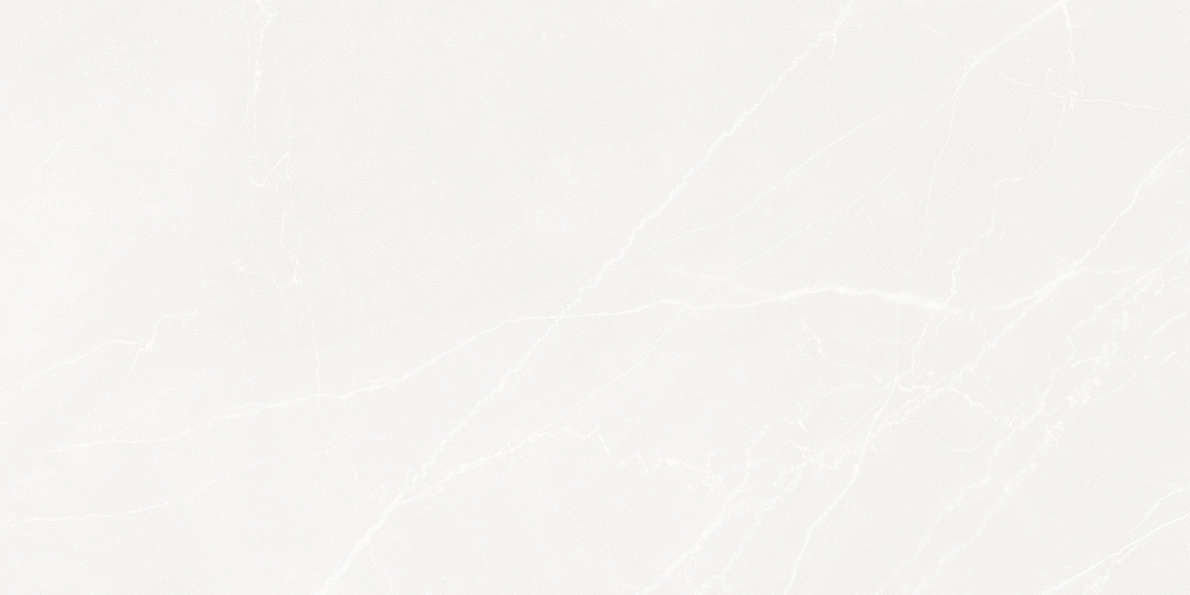  59.5119.1  (1191x595)