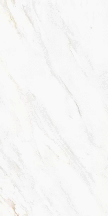 Leopard 60x120 2601 Venato Soft Polished 60x120