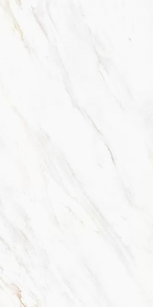 2601 Venato Soft Polished 60x120 (600x1200)