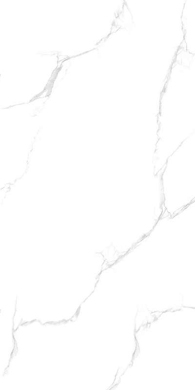 Silver Statuario Glossy (600x1200)