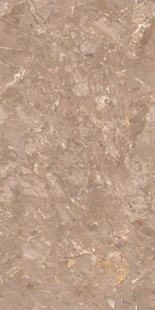 Maimoon Glossy 60x120 Oracle Brown Glossy -4
