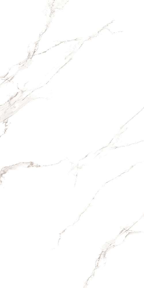 Maimoon Matt 60x120 Carrara White Rustic Punch -5