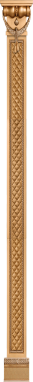 Column (5pz) Gold (195x2240)
