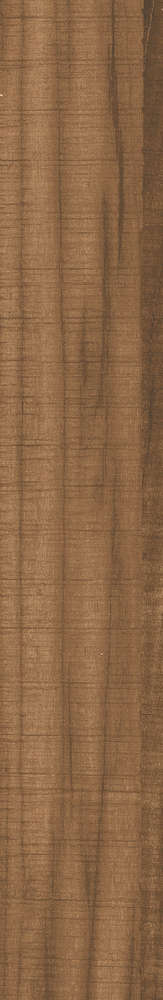 Cottonwood Wenge Rectificado (195x1200)