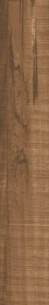 Marazen Wood Cottonwood Wenge Rectificado -6