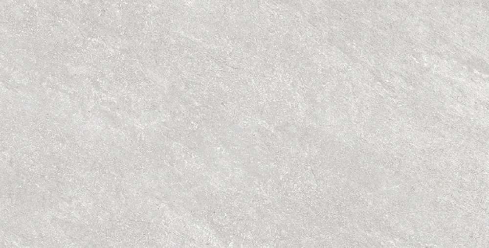 Basalt Light Gray Matt (1200x600)