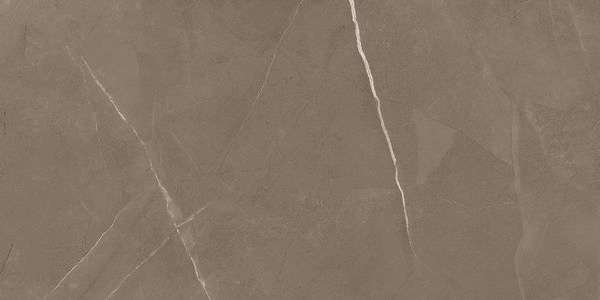 Pietra Active Gray (1200x600)