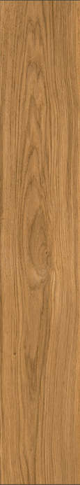 Miele Classico IZ 08 SP SQ 20x120 (200x1200)