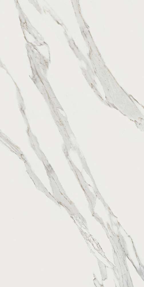 Calacatta Reale Luc Sq JW 02 60x120 (600x1200)