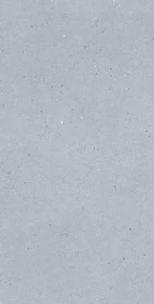Modern Tile Artis Artis Silver Carving 60x120