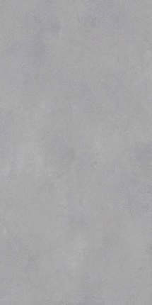 Modern Tile Leonessa Silver Matt 60x120