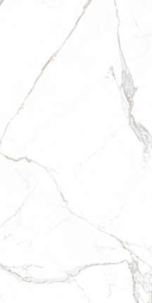 Modern Tile Statuario Brown 60x120
