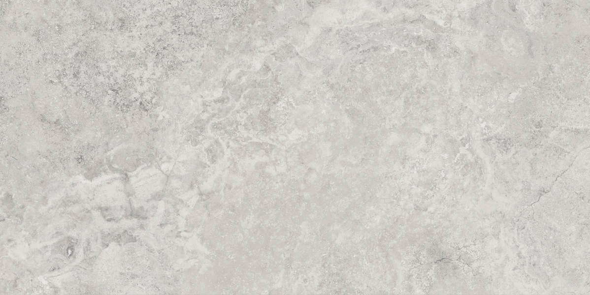 Regia Silver Brushed Ret.60X120 (1200x600)