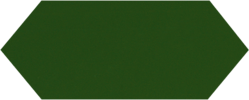 Dark Green Brillo Liso (300x100)