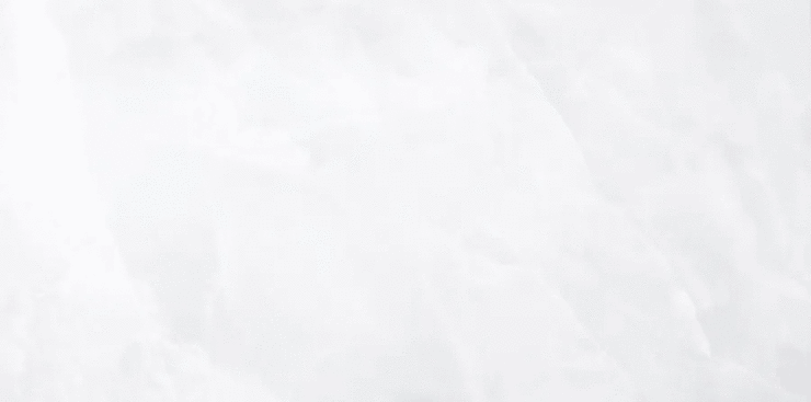 Monopole Onix White Pulido 59x119