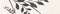 Black Decor 1 Matt 6x25 (250x60)