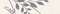 Dimgrey Decor 1 Matt 6x25 (250x60)