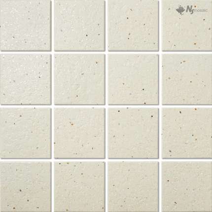 NS mosaic Porcelain P-561  (30.6x30.6)18