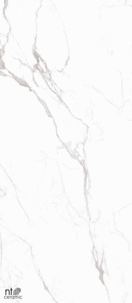 Marble White  120x280 (1200x2800)