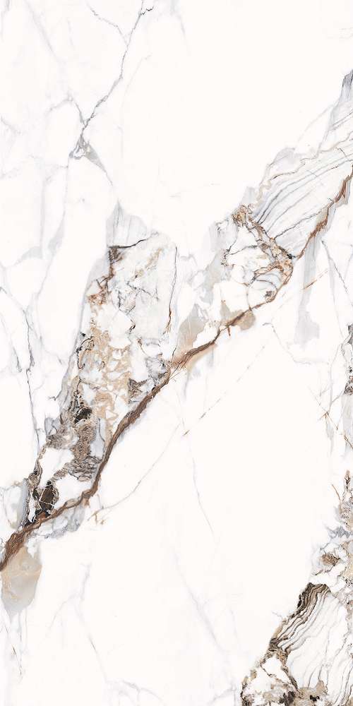 Breccia Capria  (1200x2400)