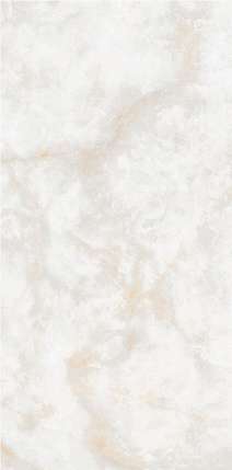 NT Ceramic Atlas Wide Li Susu Dragon  120x240