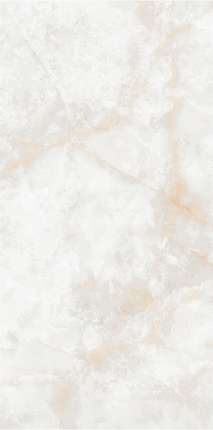 NT Ceramic Atlas Wide Li Susu Dragon  120x240