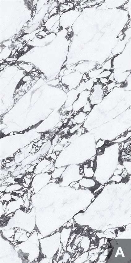 Tantai Jin Demon  120x240 (1200x2400)