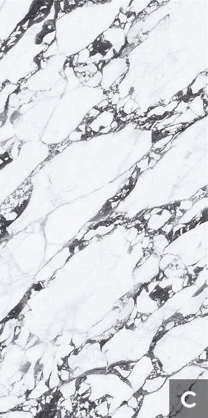 Tantai Jin Demon  120x240 (1200x2400)