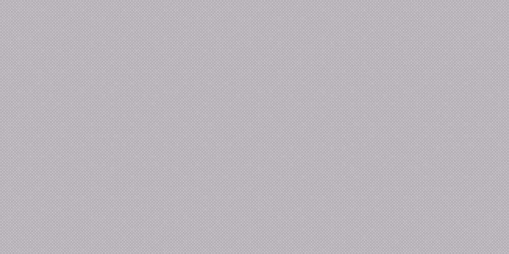 Silver Glossy  60x120 (1200x600)