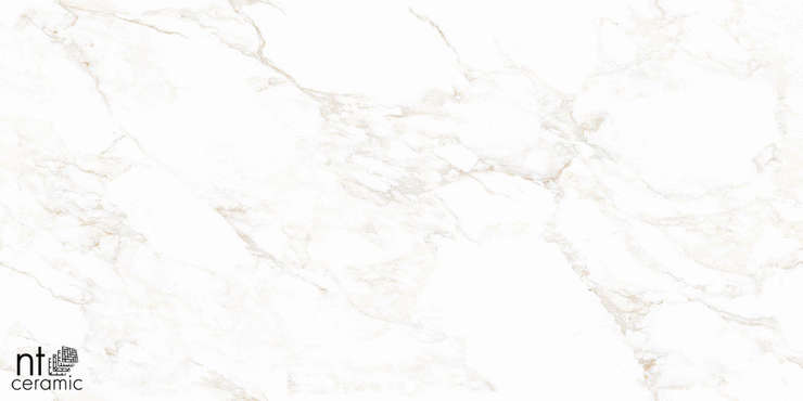 NT Ceramic Marmo Marble Extra Endless Mat 60x120