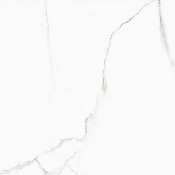 White Beauty Rhap. N+R 60 (600x600)
