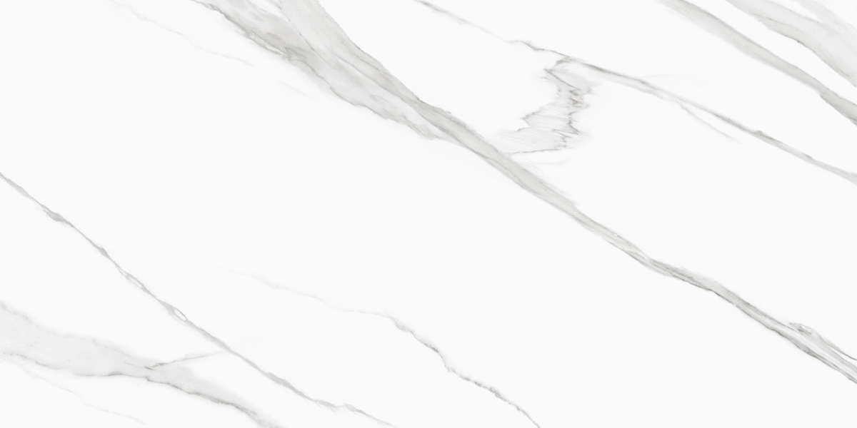 Calacatta  60x120 (1200x600)