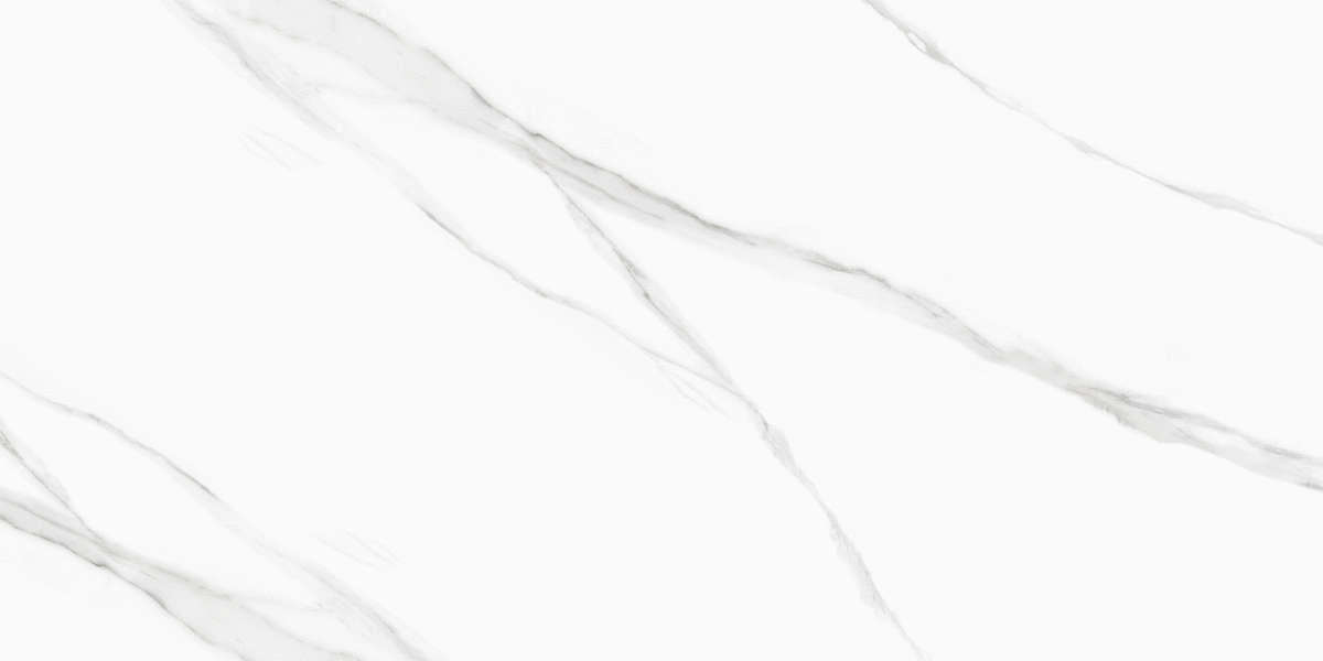 New Trend Life Calacatta  60x120 -2